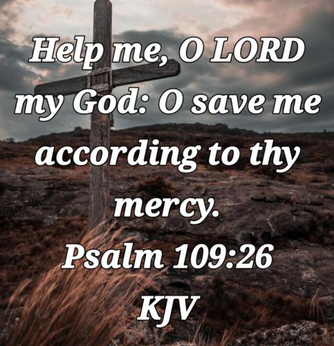 79d74e85-49a0-4dda-adfa-71204fb24959