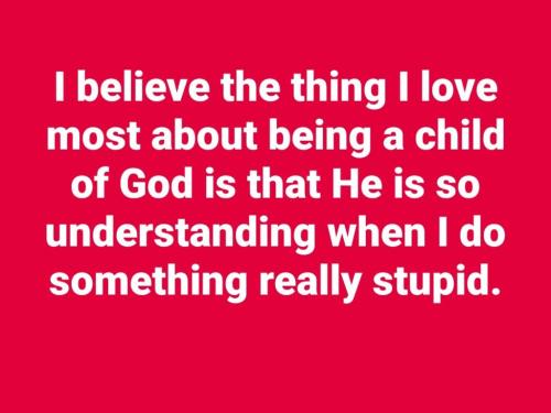 e4a56997-0171-4ba8-91c6-3d8172003e24