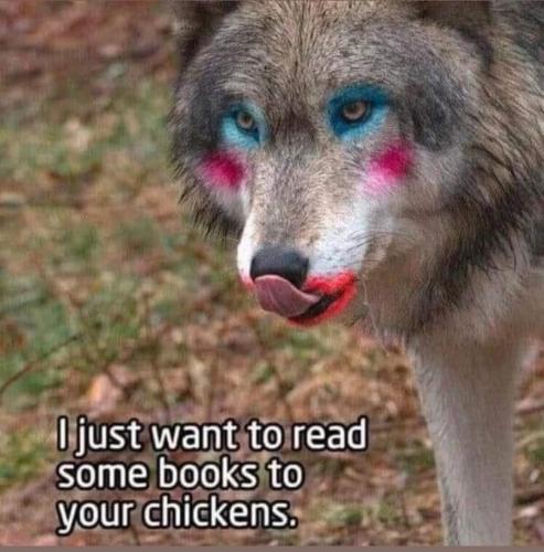 FB_IMG_1743829444500