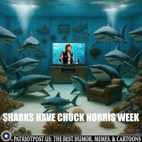 01JR9SX47BKV2EZNEC6WEEM2KQ