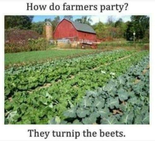 Screenshot_20250426_165142_Gallery