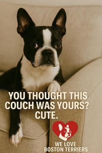 FB_IMG_1744895453871