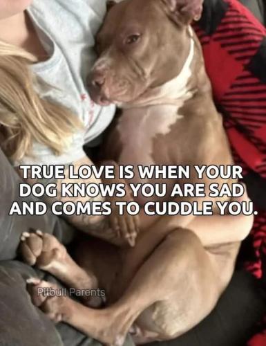 FB_IMG_1745277503991