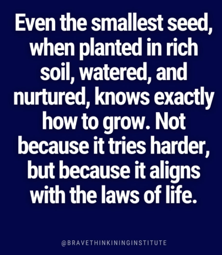 Screenshot 2025-04-13 072635