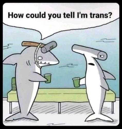 IMG_20250402_031005_814