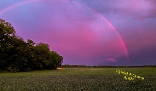 Screenshot_20250420_185417_Gallery