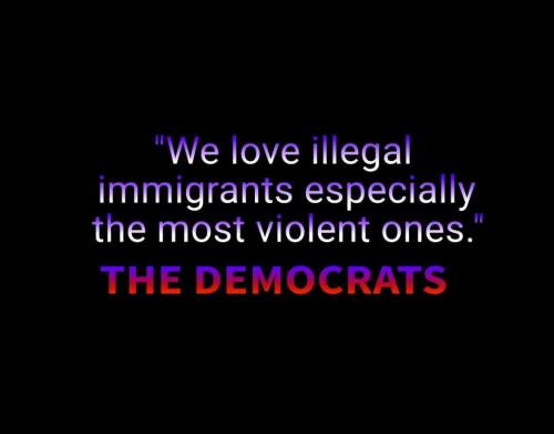 we love illegal aliens