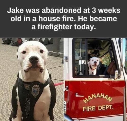 FB_IMG_1745275581145