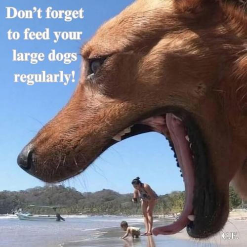 FB_IMG_1744401736943