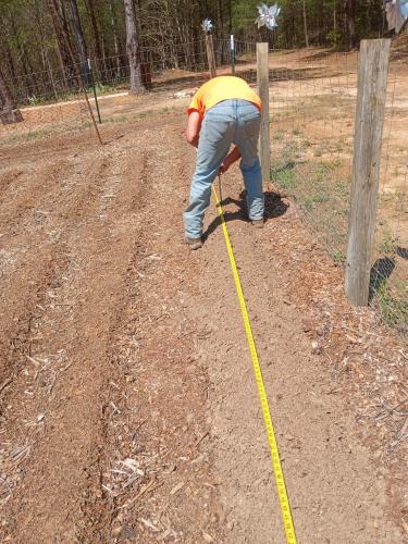 IMG_20250412_132639522