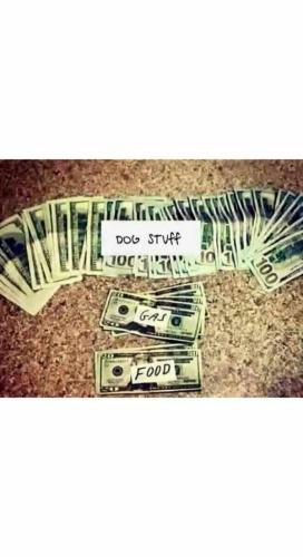 Resized_FB_IMG_1744552642288