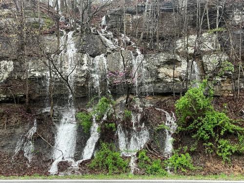 C2C8CE6B-7239-4B79-A687-7419B61B17D4