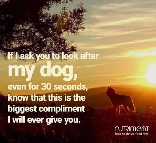 e823c6ae718a8c7188594b5314977beb