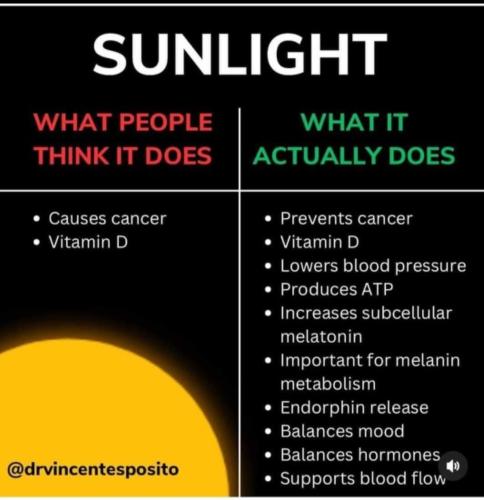 04E94B4F-624F-4A66-BD90-DA4E69F3E813-2411-00000257ACE61354