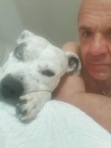 12add5a2-34d0-4107-92f0-cde0118bf06b