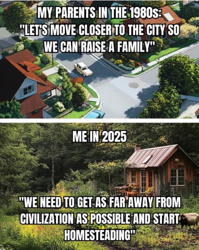 FB_IMG_1743717338482