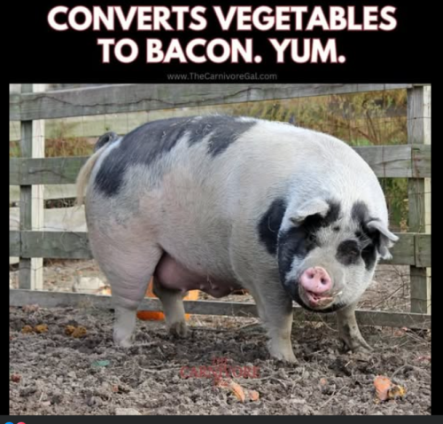 Screenshot 2025-04-21 162724