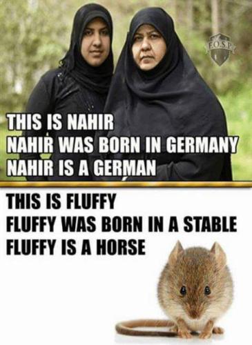 FB_IMG_1554861090424