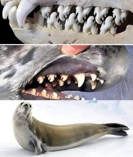 fa26fe38-b9e0-4698-9082-3c94f63239cc