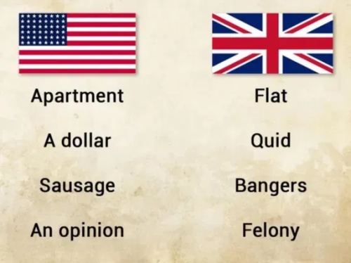 image_2025-04-24_063244327