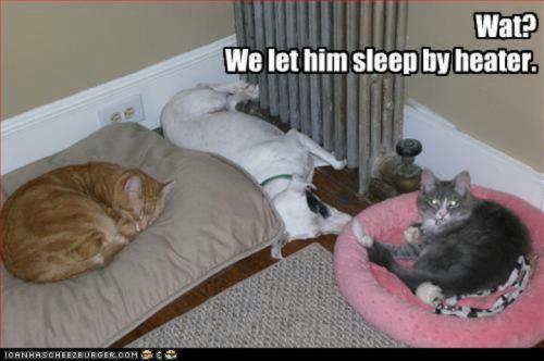 73113700f1d880a8fc4bd46a5e52fff4