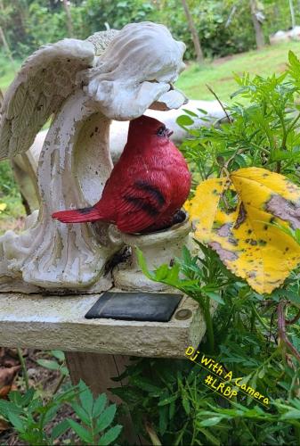 Screenshot_20250417_065413_Gallery