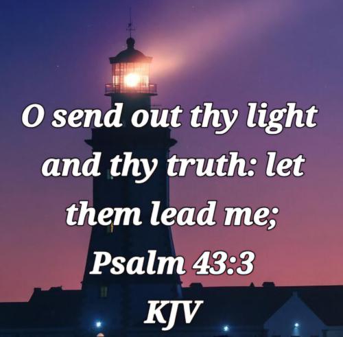 e6816993-beae-448c-b4f6-f097b3b8b99e