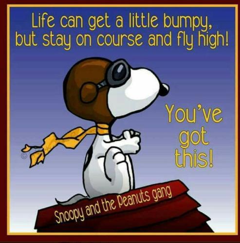 a19909a4d81490910877498febad9ee5