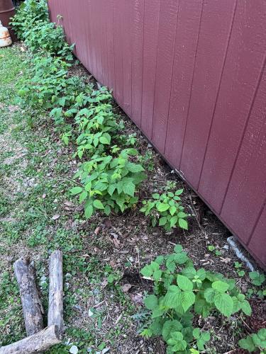 97888F93-CC86-47DA-A9AC-D59114EE5CE9