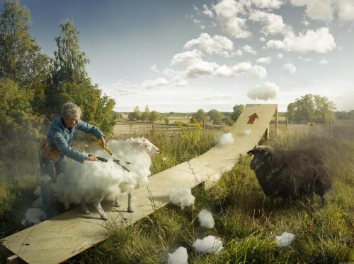 image-asset (1)