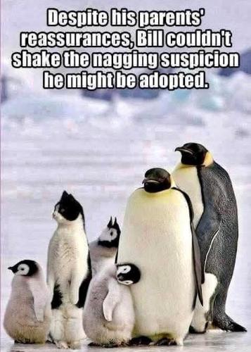 09:53:04 GMT-0700