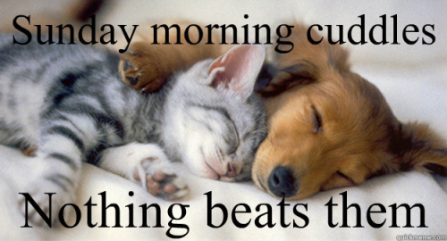 88e07b38f9294c36ef83ea883611f679-632540568