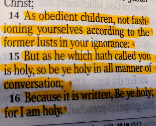 FB_IMG_1744549435564