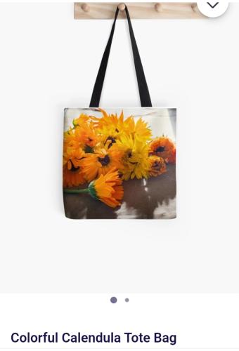 Screenshot_20250419_130603_Brave