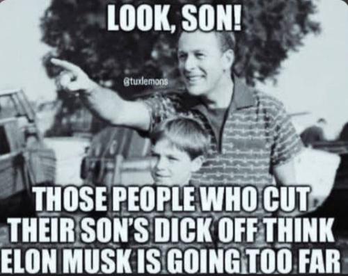 photo_2025-04-02_22-51-40