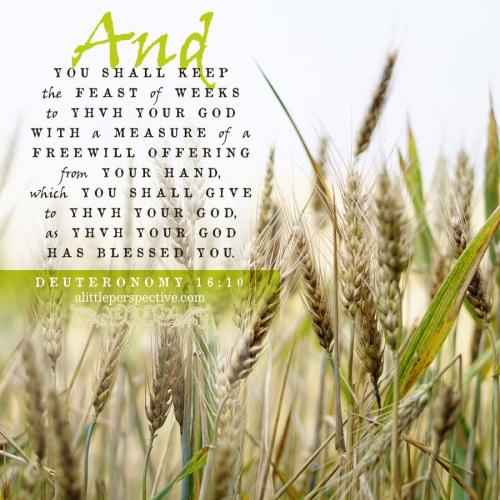 deu-16-10-KJV-pixabay