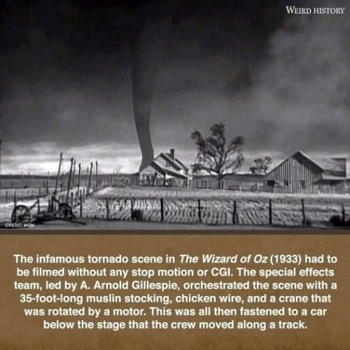 489500989_1422832222398279_6624106609435253868_n