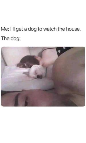 FB_IMG_1744390219805