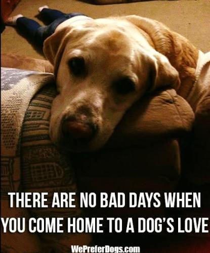 FB_IMG_1745082837268