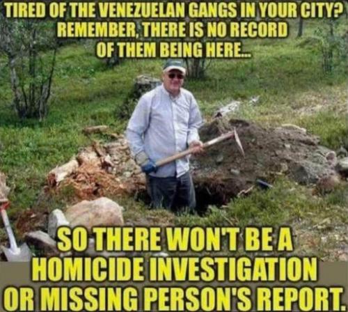 illegal immigration511