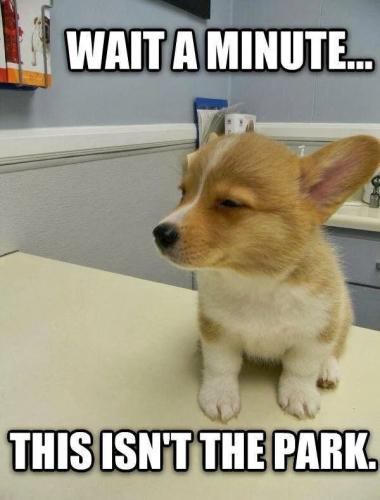 wait-minute-this-isnt-park