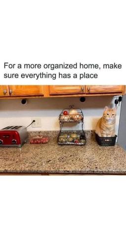 FB_IMG_1745791415327