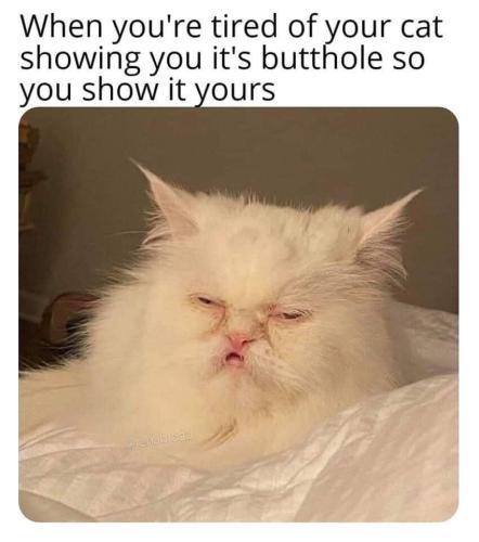 image_D2BA927C-1F22-4787-AC43-208B3F40BC63