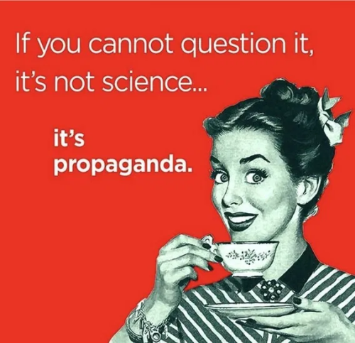 image_2025-04-03_064231607