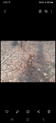 Screenshot_20241208_095536_Gallery