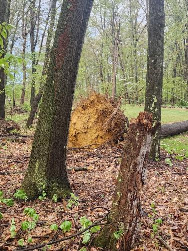 cfb41fe6-2f50-404f-87bf-81202bea0ddd