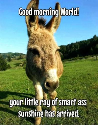 FB_IMG_1744226735282