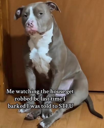 FB_IMG_1743975538708