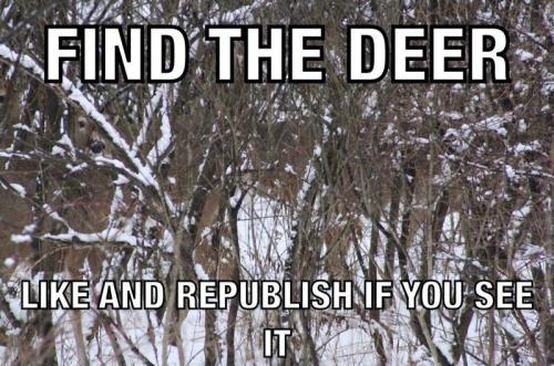 3c714be7-5795-471a-a9d1-eeb82d0f6264