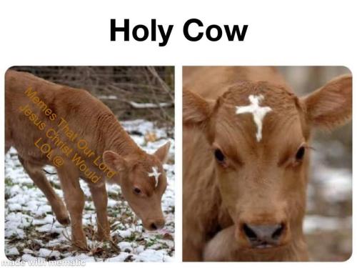 FB_IMG_1745499977034